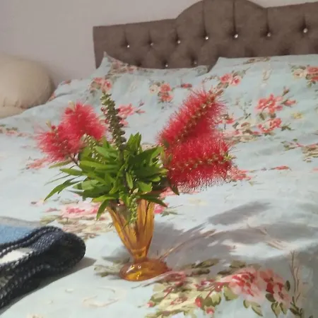 Apartment Peaceful For Homes - Be My Guest *